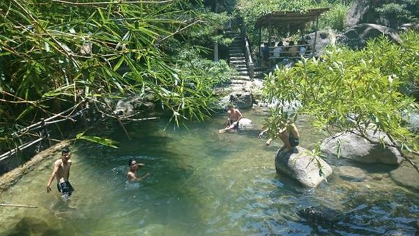 - Top 5 Khu Du Lịch Sinh Thái Dành Riêng Cho Dân Bơi Tại Đà Nẵng