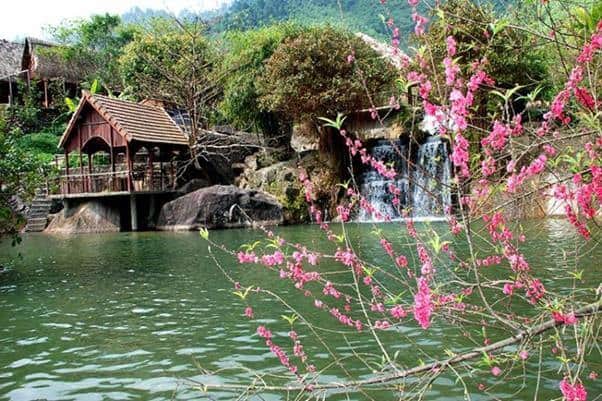- Top 5 Khu Du Lịch Sinh Thái Dành Riêng Cho Dân Bơi Tại Đà Nẵng