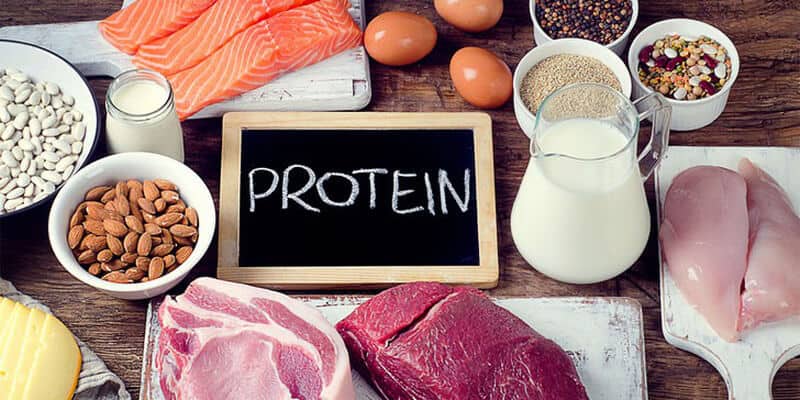 protein dưỡng chất giúp phòng ngừa loãng xương thế nào