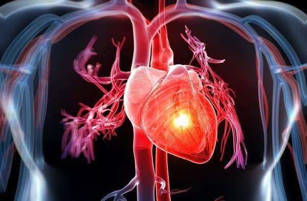 - Top 5 Best Cardiovascular Risk Reduction Products Today