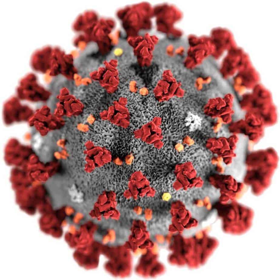 - Summary of 2019-nCoV: How to Prevent Corona Virus Need to Know
