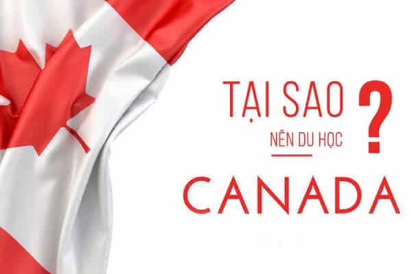 - Top 10 Trung Tâm Tư Vấn Du Học Canada Uy Tín, Chất Lượng Ở TP HCM