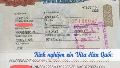 - Top 10 Dịch Vụ Làm Visa Hàn Quốc Bảo Đảm