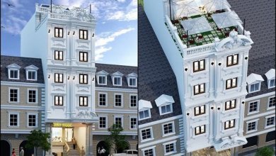 - Top 11 Lưu Ý Khi Thiết Kế Nội Thất Khách Sạn Mini