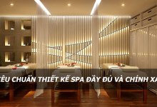 - Top 10 Lưu Ý Khi Thiết Kế Nội Thất Spa Thẩm Mỹ Viện