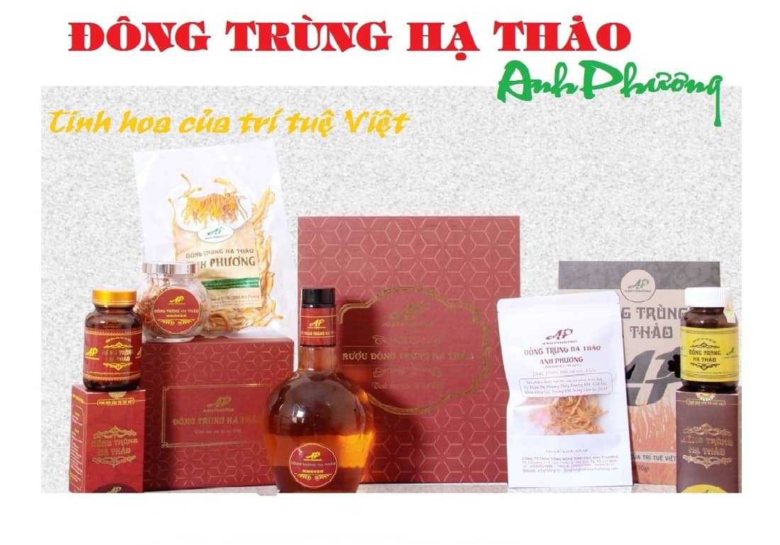 - Top 8 Thương Hiệu Đông Trùng Hạ Thảo Tốt Nhất Việt Nam