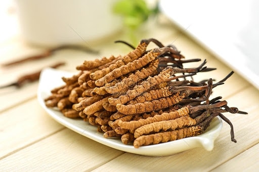 - Top 7 Stores Selling Genuine Cordyceps at Good Prices Nationwide