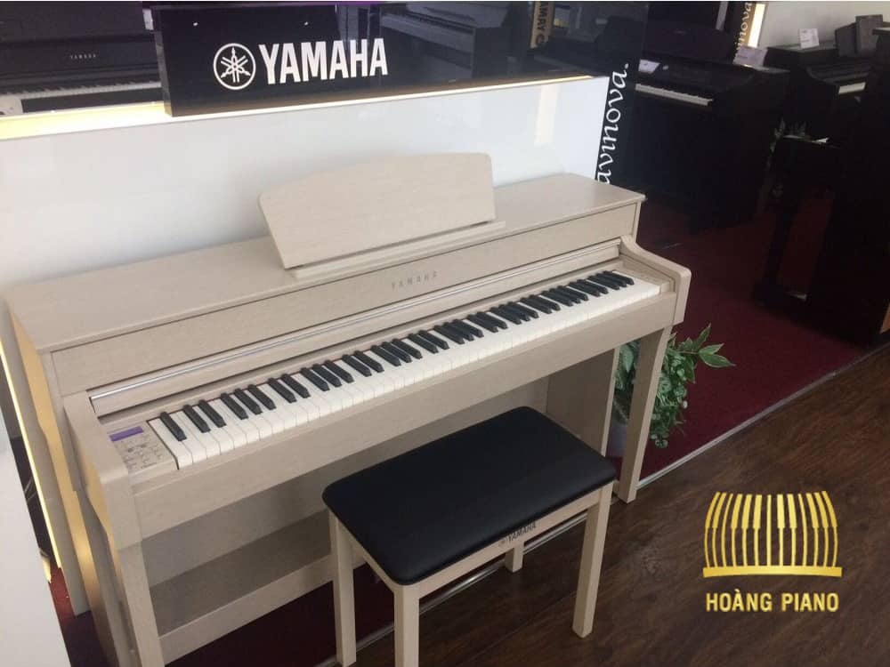 - Top 10 Shop Chuyên Kinh Doanh Đàn Piano Cho Bé
