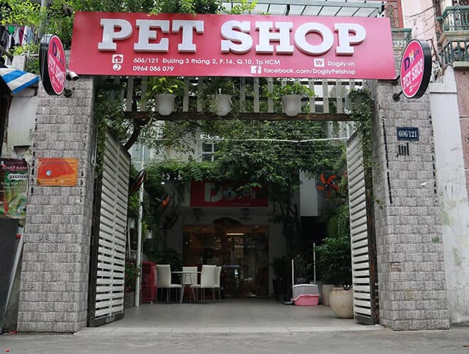 - Top 10 Shop Bán Thú Cưng Tốt Nhất Ở Hồ Chí Minh