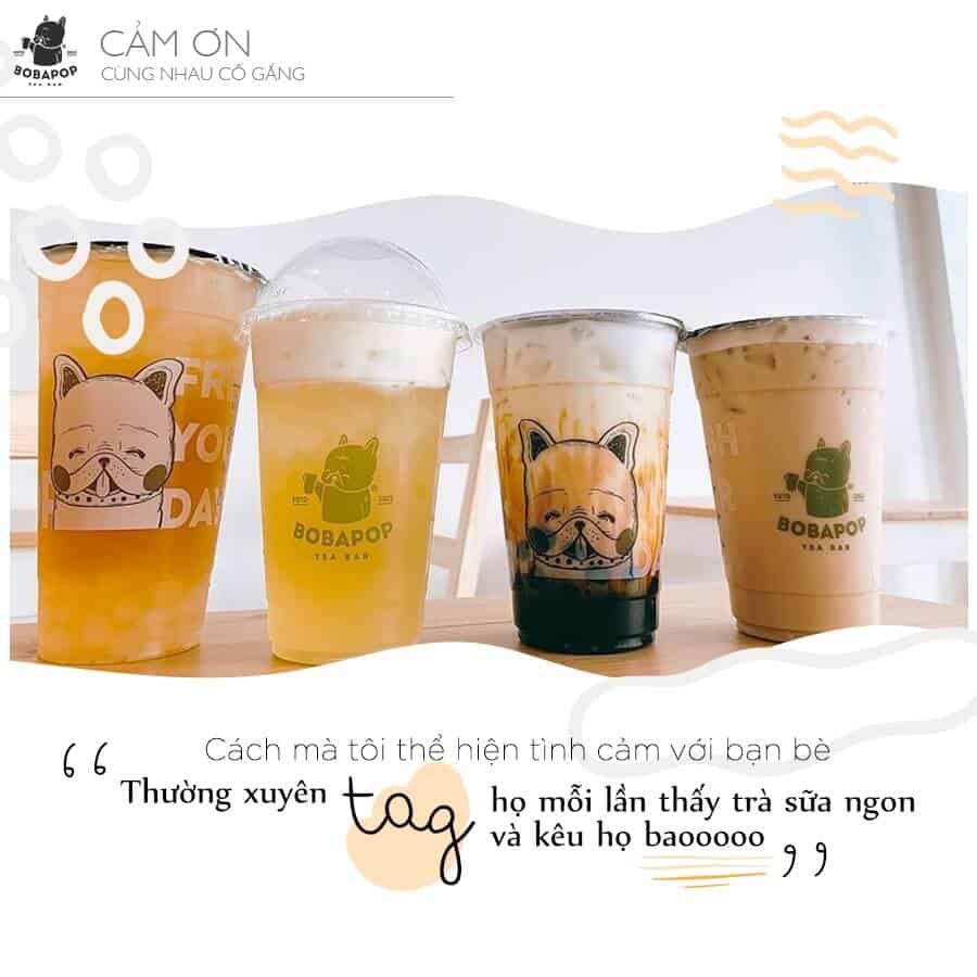 - Top 10 Quán Trà Sữa Ngon Nhất Hồ Chí Minh