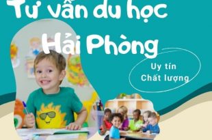 Top 9 Study Abroad Counseling Centers In Hai Phong