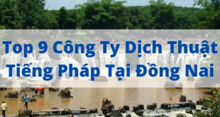 Top 9 French Translation Companies in Dong Nai