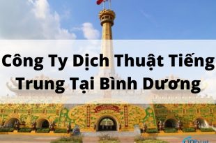Top Chinese Translation Company in Binh Duong