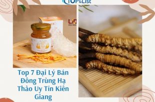 price of cordyceps in Kien Giang