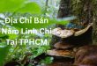 Top 10 Địa Chỉ Bán Nấm Linh Chi Tại TPHCM