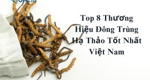 Top 8 Thương Hiệu Đông Trùng Hạ Thảo Tốt Nhất Việt Nam