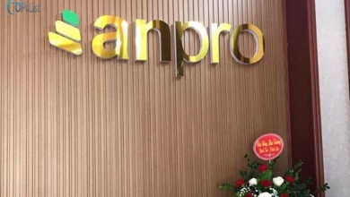 - Top 5 Shop Tấm Thạch Cao, La Phông Trần Nhựa Hải Dương Uy Tín